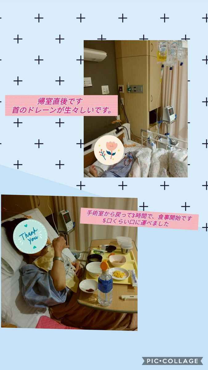 f:id:satomi3711:20190702235330j:plain