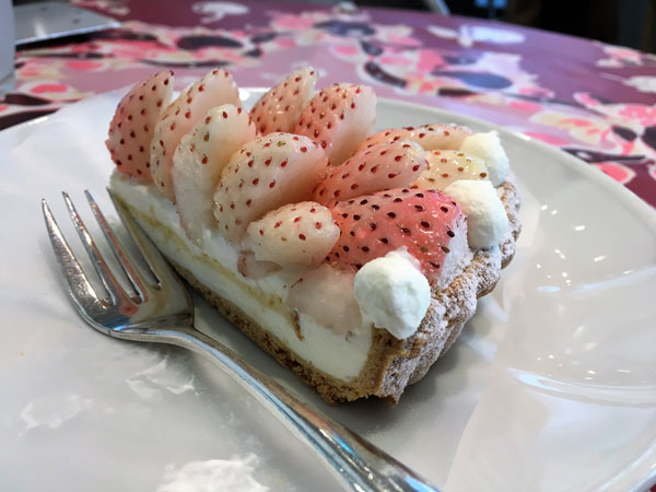 f:id:satomi77:20170203085806j:plain f:id:satomi77:20170203085806j:plain