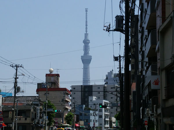 f:id:satomi77:20180612094238j:plain f:id:satomi77:20180612094238j:plain