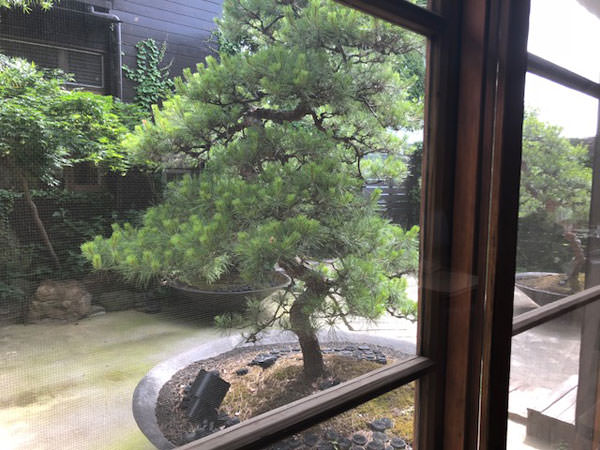 f:id:satomi77:20180612102600j:plain f:id:satomi77:20180612102600j:plain