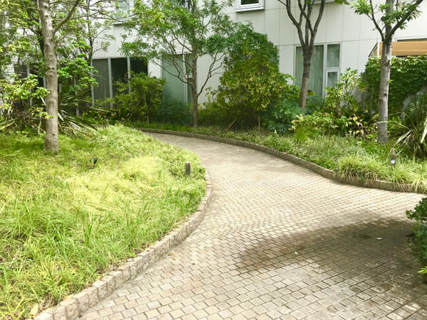 f:id:satomi77:20180925114335j:plain