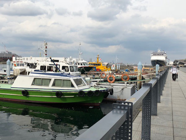 f:id:satomi77:20181027094940j:plain f:id:satomi77:20181027094940j:plain