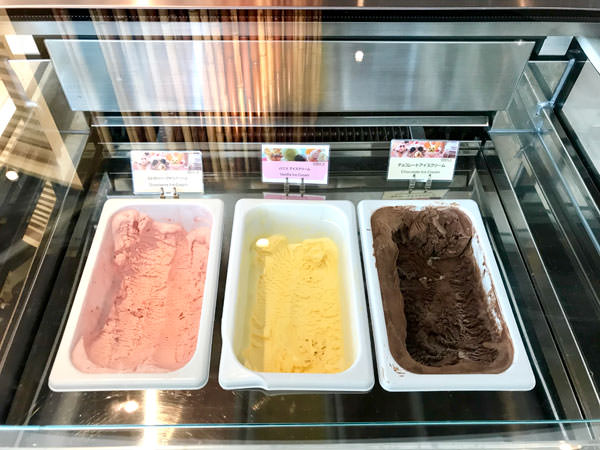 f:id:satomi77:20190225151510j:plain f:id:satomi77:20190225151510j:plain