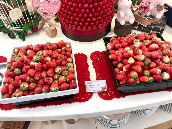 f:id:satomi77:20190225151818j:plain f:id:satomi77:20190225151818j:plain