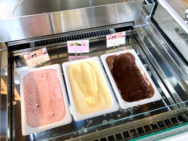 f:id:satomi77:20190225152553j:plain f:id:satomi77:20190225152553j:plain