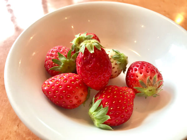 f:id:satomi77:20190314162449j:plain