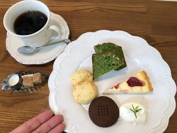 f:id:satomi77:20190320170101j:plain