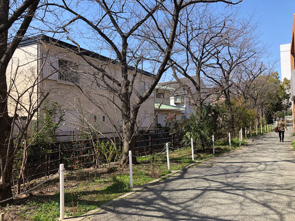 f:id:satomi77:20190320170234j:plain