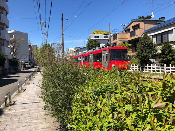f:id:satomi77:20190424154803j:plain