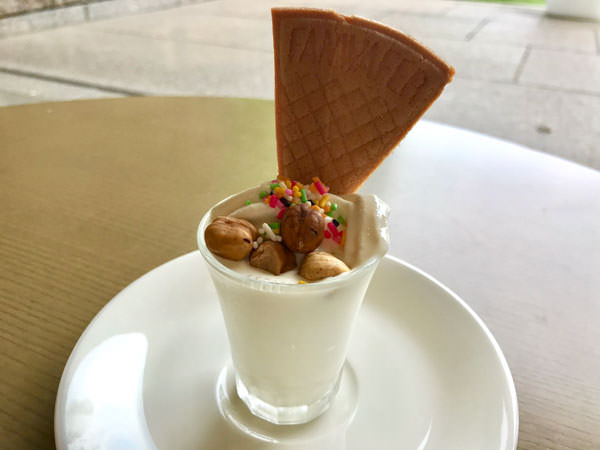 f:id:satomi77:20190614152625j:plain