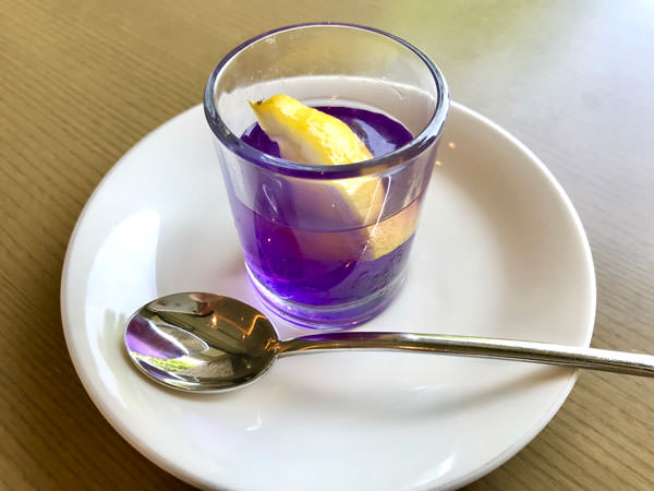 f:id:satomi77:20190614152813j:plain