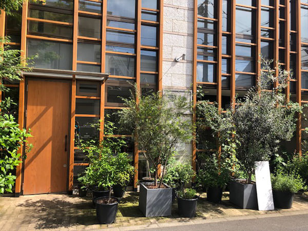 f:id:satomi77:20190618144219j:plain