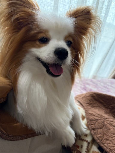 f:id:satomi_f1984:20260508185215j:image f:id:satomi_f1984:20260508185215j:image