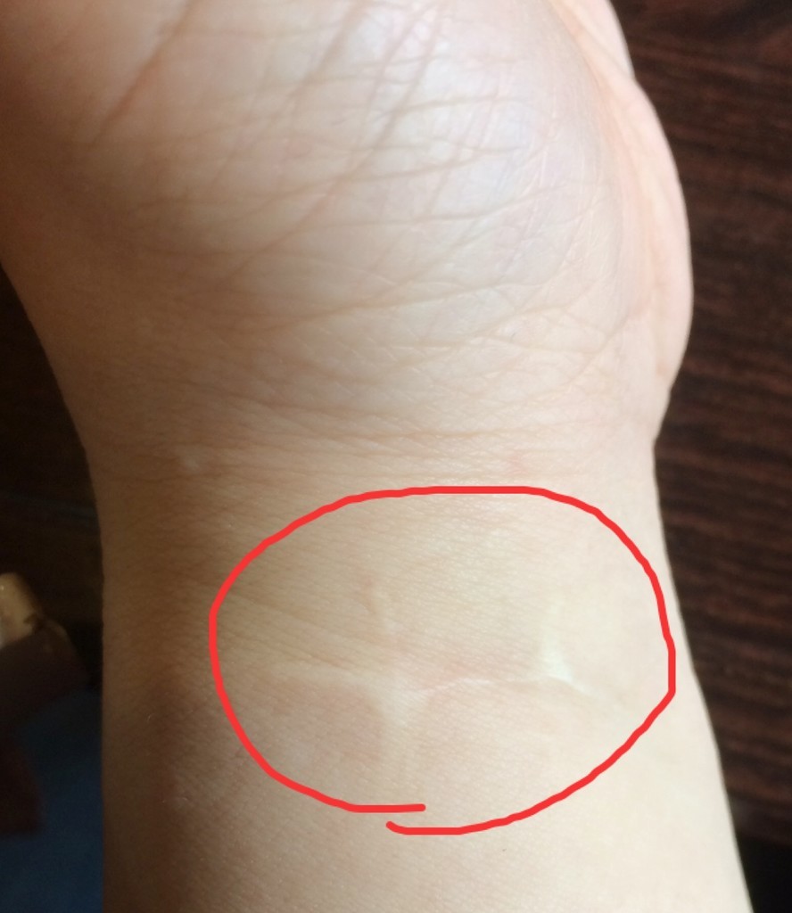 f:id:satomies:20190221101958j:plain:w300