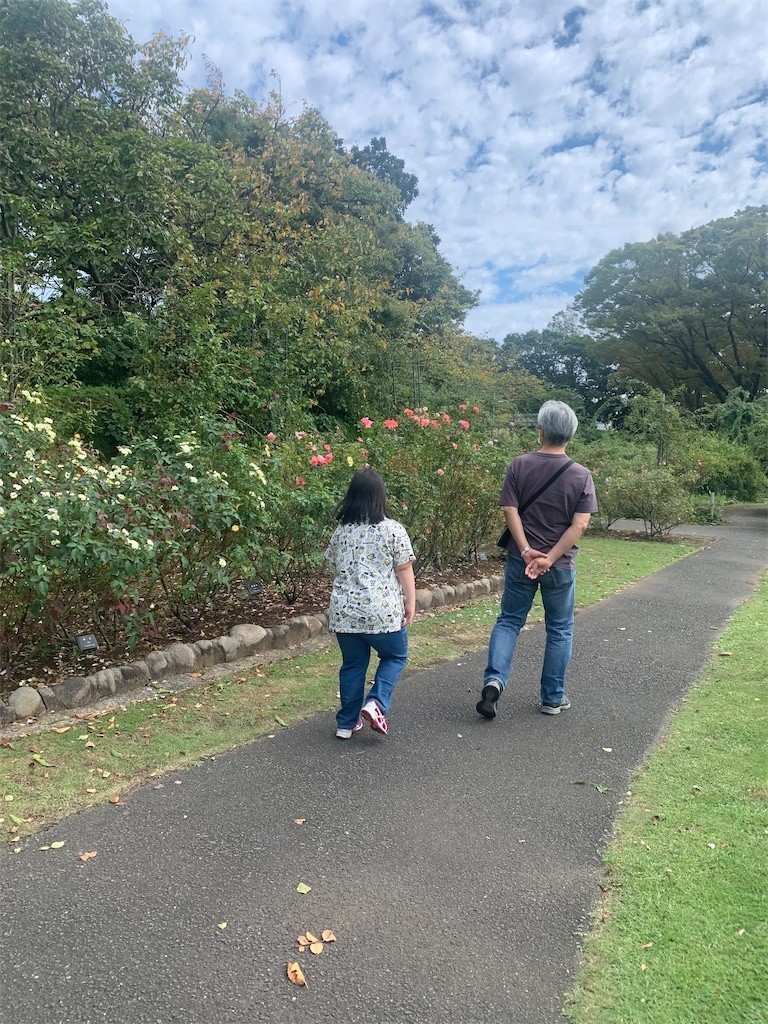 f:id:satomies:20211003000926j:plain