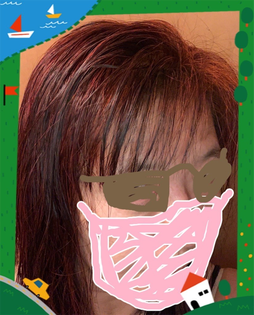 f:id:satomies:20211119223223j:image:w200