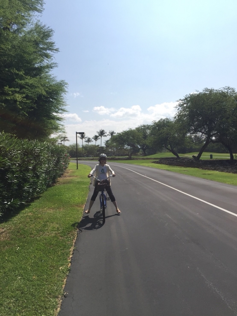 f:id:satomiman10:20171114103321j:plain