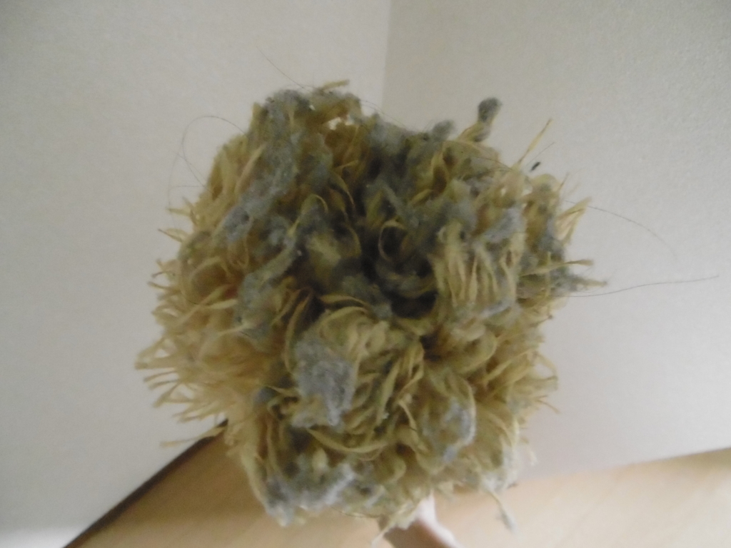 f:id:satomiman10:20180402202510j:plain