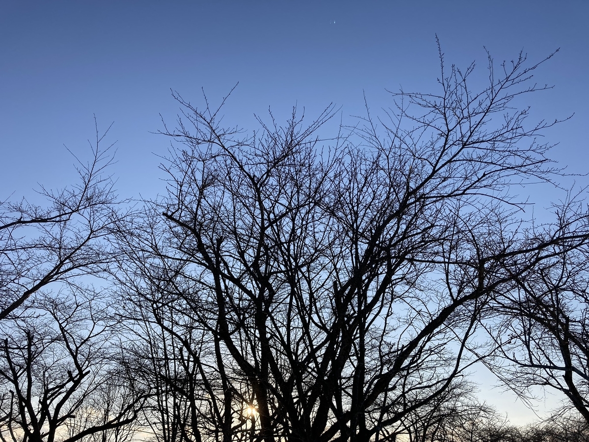 f:id:satominisuto:20220110201112j:plain