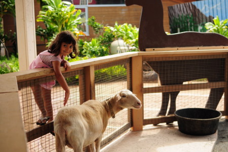 f:id:satominto:20110626194806j:image:w250 f:id:satominto:20110626194806j:image:w250