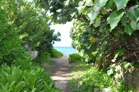 f:id:satominto:20110626194819j:image:w250 f:id:satominto:20110626194819j:image:w250