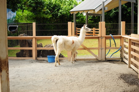 f:id:satominto:20110626200306j:image:w250 f:id:satominto:20110626200306j:image:w250