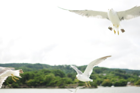 f:id:satominto:20110920224553j:image:w250 f:id:satominto:20110920224553j:image:w250