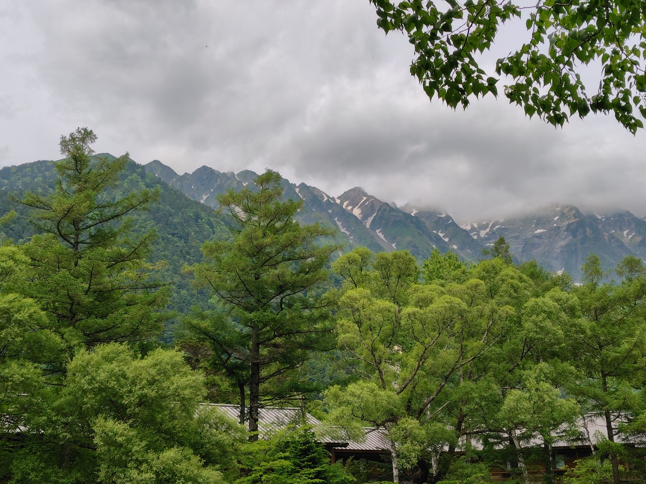 f:id:satomori17sdj:20260625151952j:image f:id:satomori17sdj:20260625151952j:image