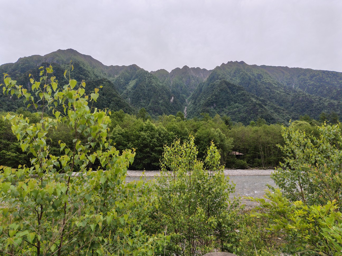 f:id:satomori17sdj:20260710202051j:image f:id:satomori17sdj:20260710202051j:image