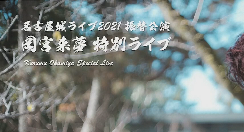 岡宮来夢 名古屋城ライブ ブロマイド コンプリートセット 岡宮来夢 名古屋城ライブ（夜の部・前半） ～審神者の感想～ - さとう