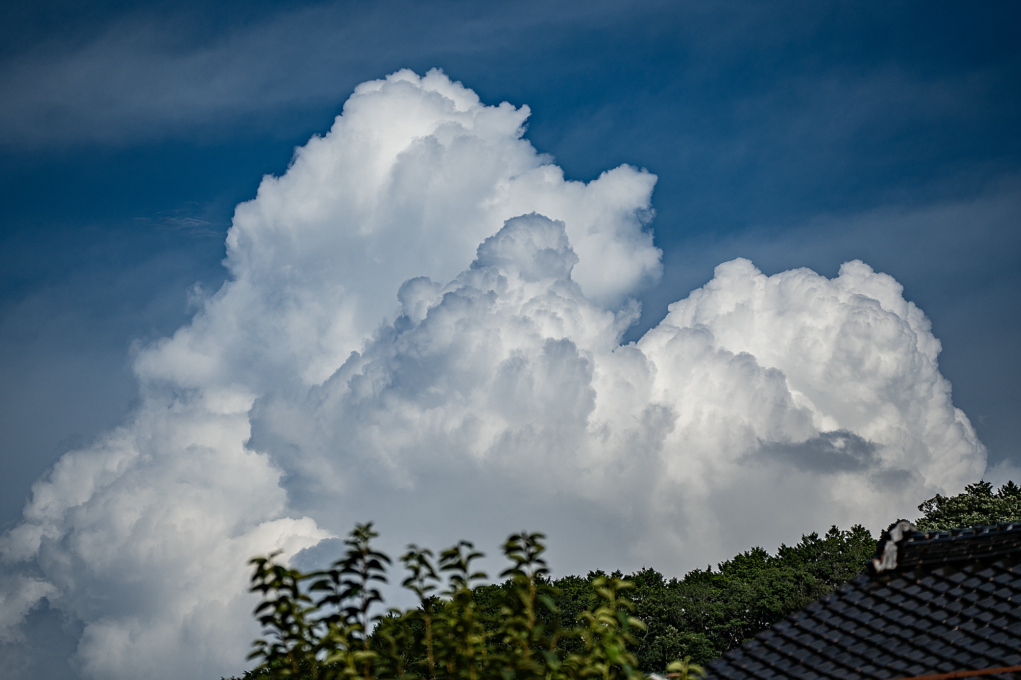 夏雲 田舎もんの電脳撮影日記