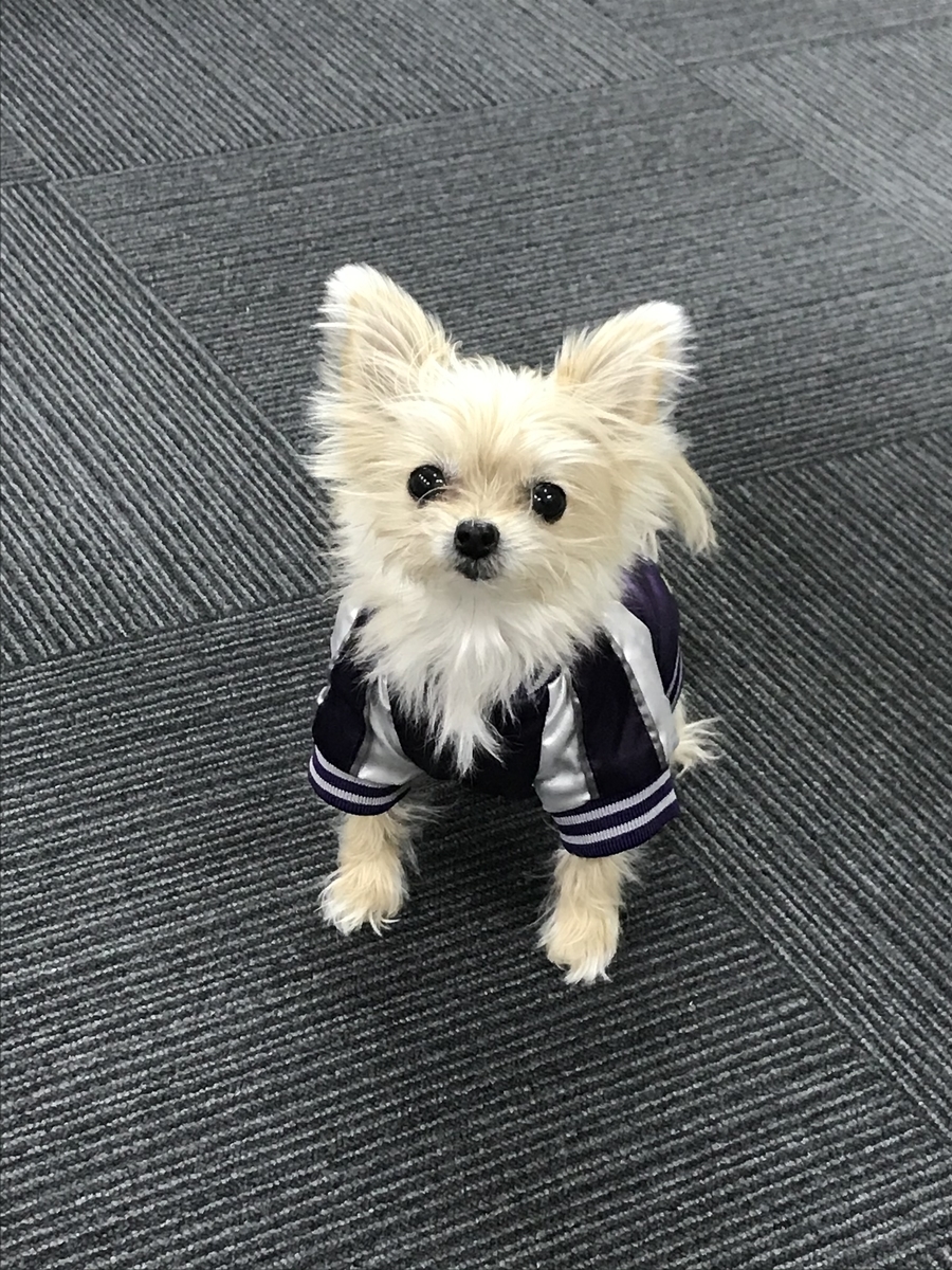 f:id:satonou:20191214084741j:plain