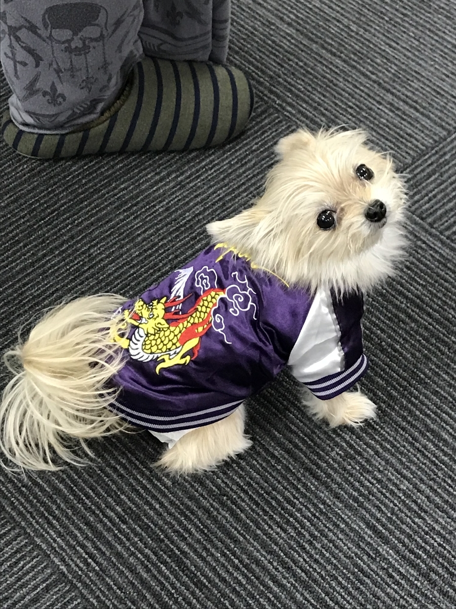 f:id:satonou:20191214084813j:plain