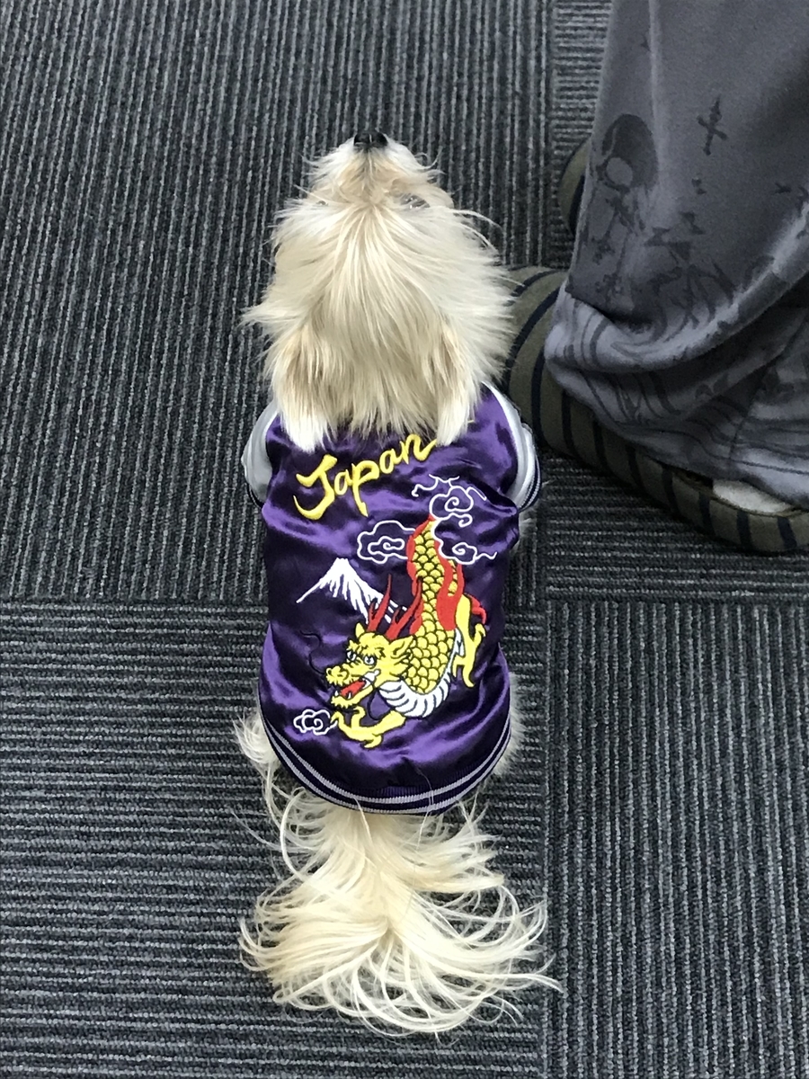 f:id:satonou:20191214084907j:plain
