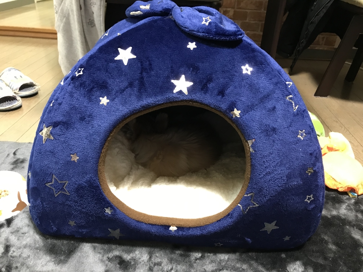 f:id:satonou:20191214085144j:plain