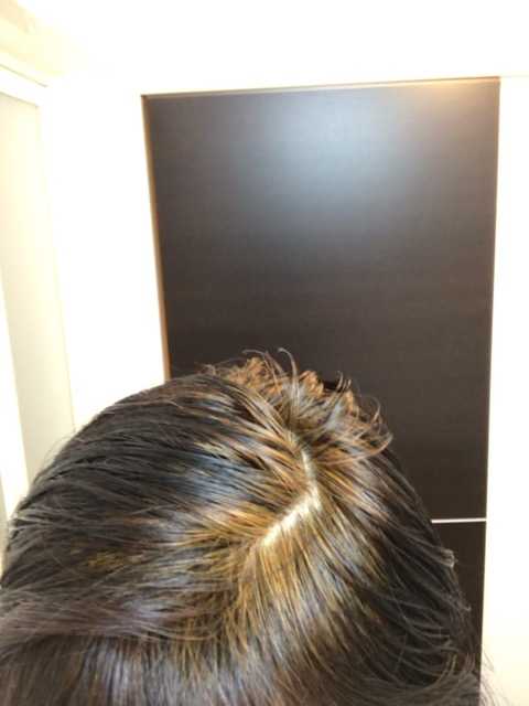 f:id:satonoyukiko:20200403062442j:plain