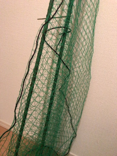 f:id:satonoyukiko:20200425071657j:plain
