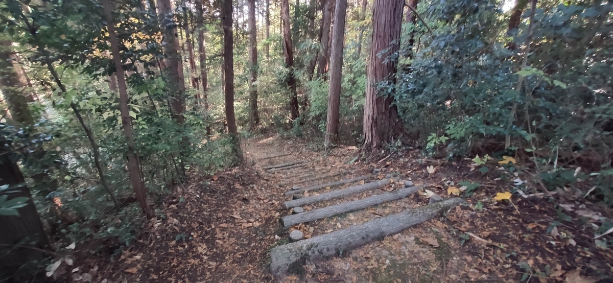 f:id:satopoko1108:20211114142204j:plain