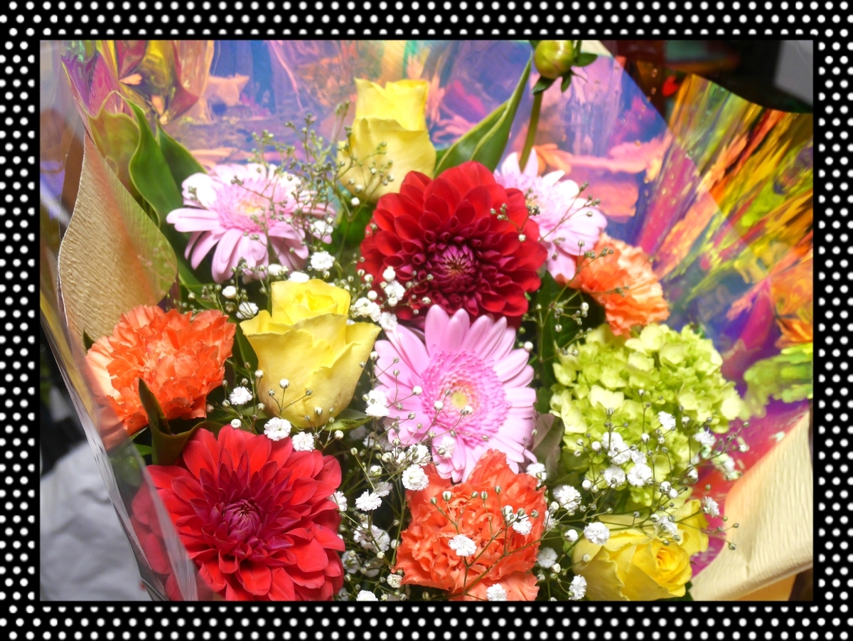 f:id:satopon-ch:20191123010811j:plain f:id:satopon-ch:20191123010811j:plain