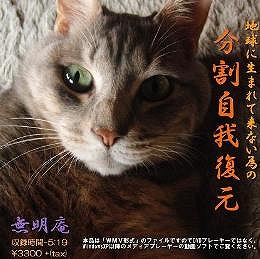 f:id:satorikinesi:20171014042123j:plain