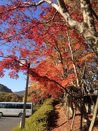 f:id:satorikinesi:20181201100330j:plain f:id:satorikinesi:20181201100330j:plain