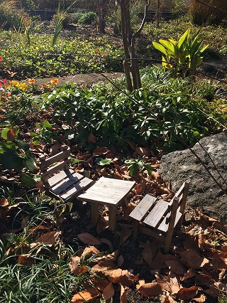 f:id:satorikinesi:20181201100341j:plain f:id:satorikinesi:20181201100341j:plain