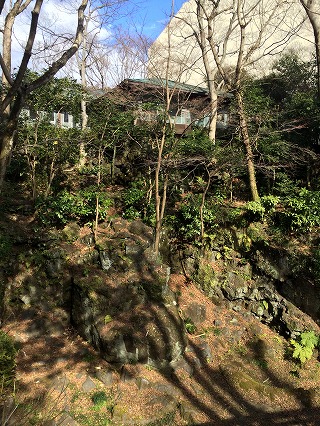 f:id:satorikinesi:20190128081245j:plain