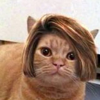 f:id:satorikinesi:20190301160205j:plain