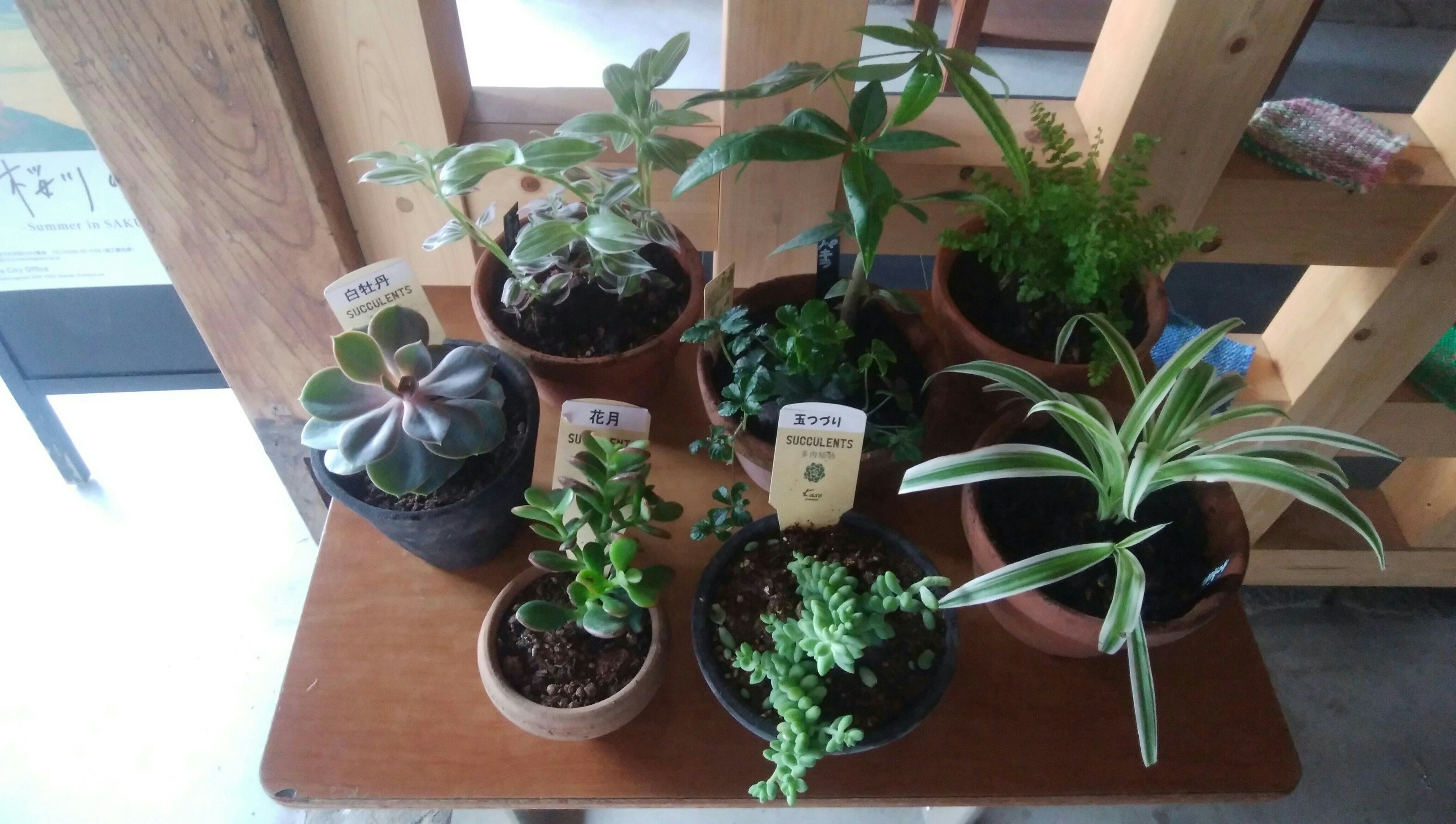 f:id:satorisedaiblog:20190623005525j:image f:id:satorisedaiblog:20190623005525j:image