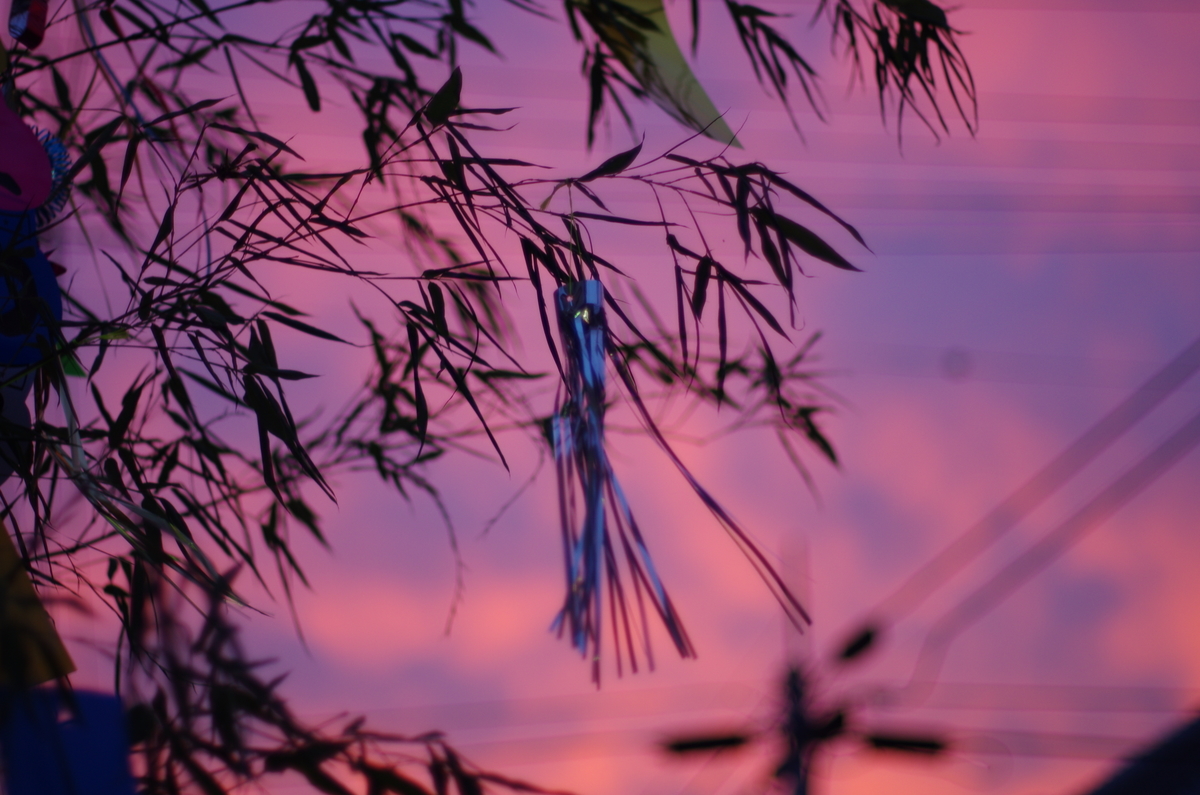 f:id:satorisedaiblog:20190705235316j:plain f:id:satorisedaiblog:20190705235316j:plain