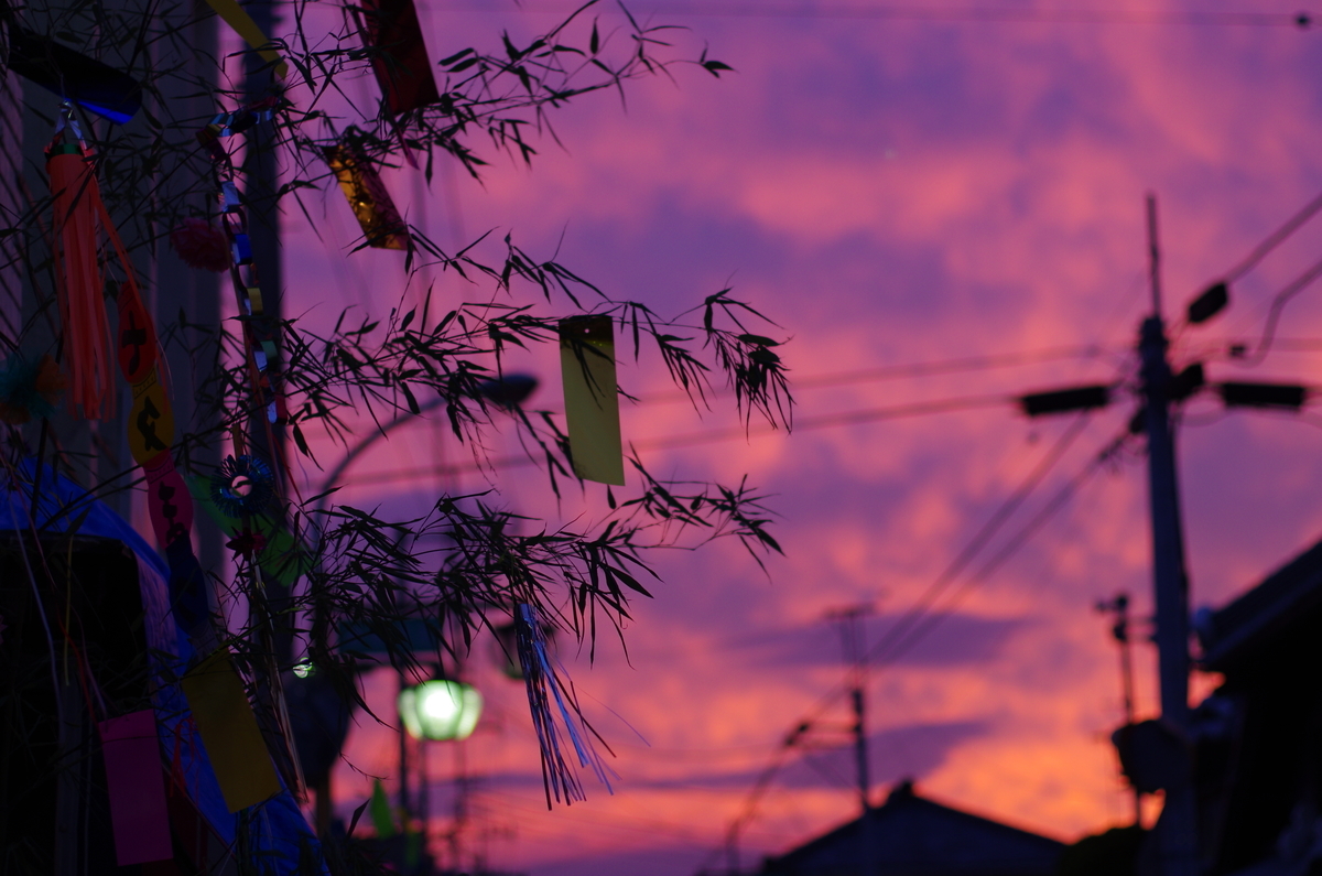 f:id:satorisedaiblog:20190705235608j:plain f:id:satorisedaiblog:20190705235608j:plain