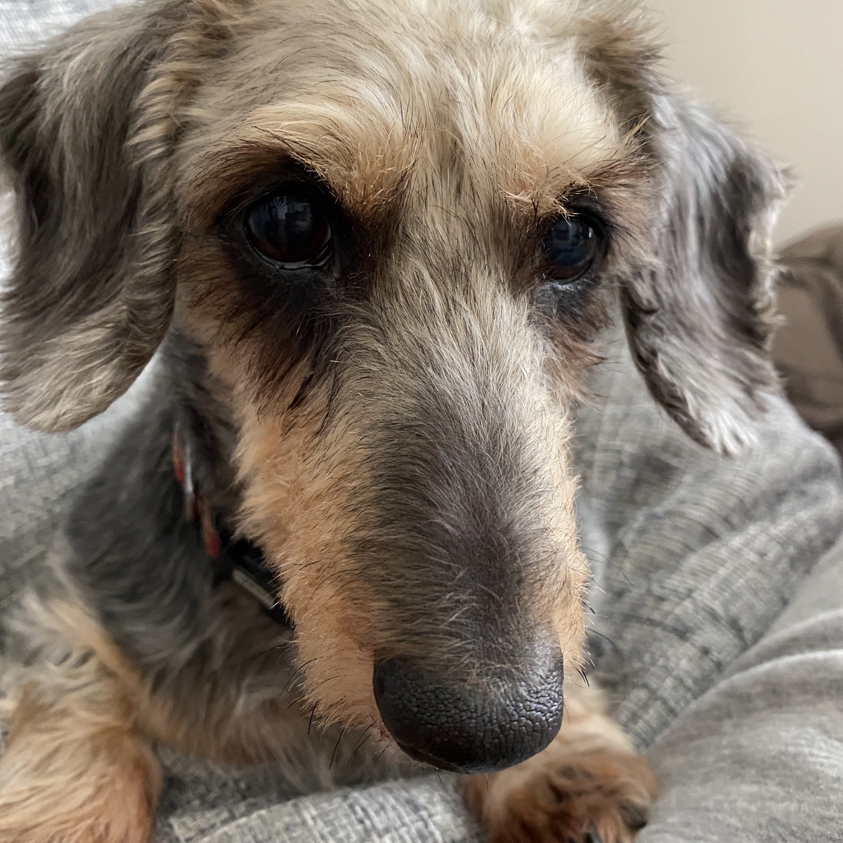 f:id:satoru-itabashi:20201112172927j:plain f:id:satoru-itabashi:20201112172927j:plain