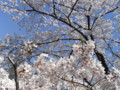 20090407133543