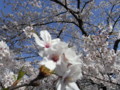 20090407133554